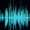 High Quality Audio Recording Capabilities